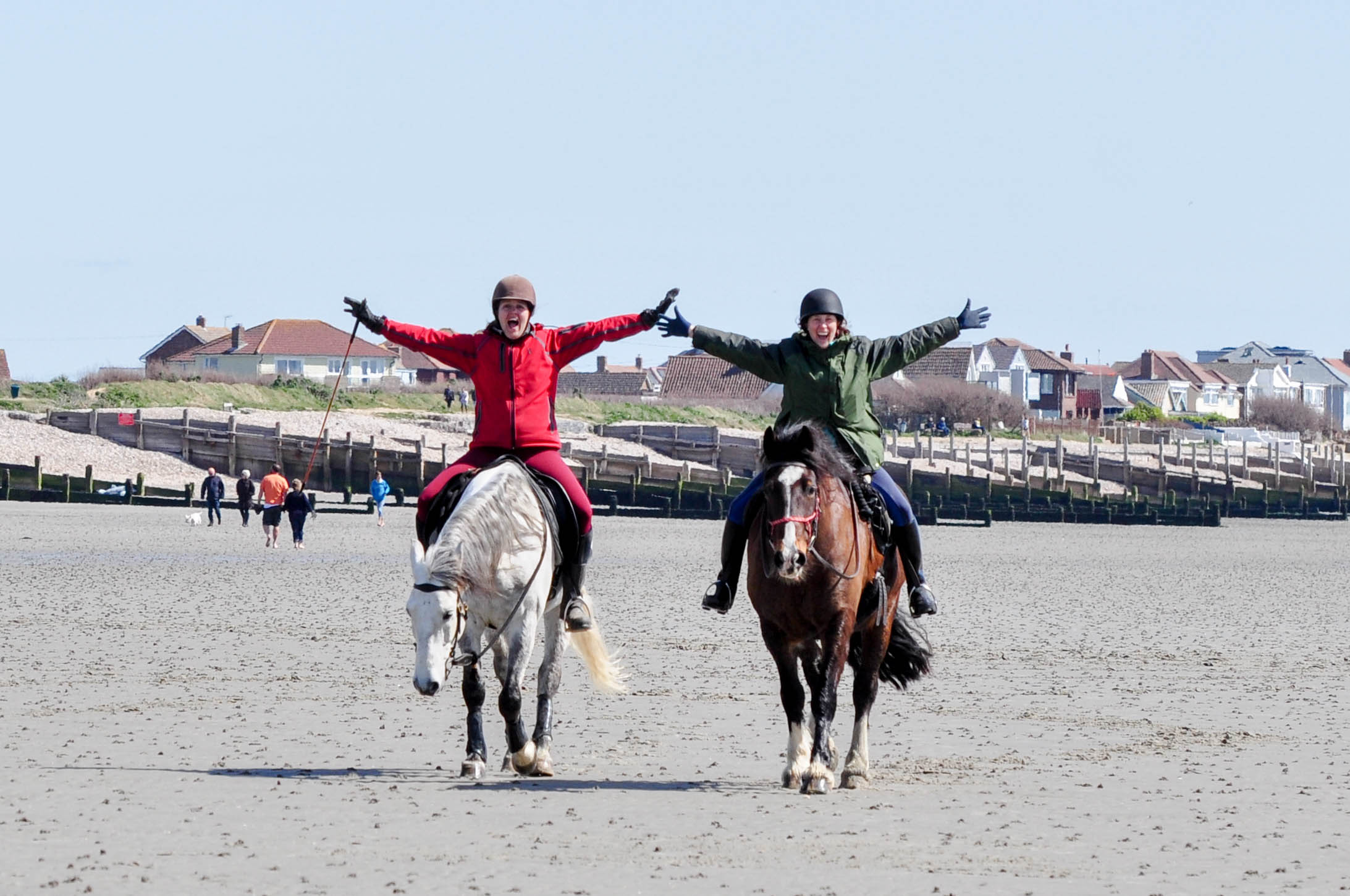 The Calm And Focused Rider Program